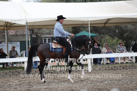 DAHA_FALL19SATPM_5191