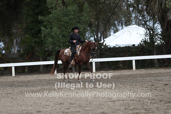 DAHA_FALL19SATPM_5192