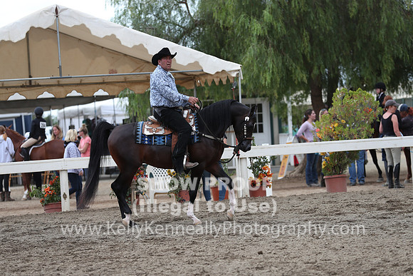DAHA_FALL19SATPM_5196