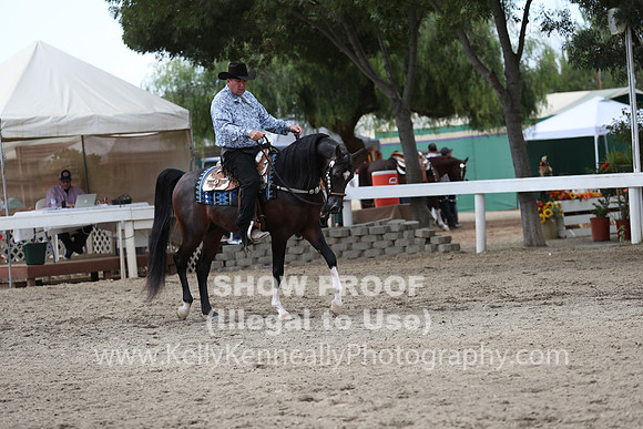 DAHA_FALL19SATPM_5197