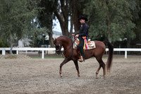 DAHA_FALL19SATPM_5202