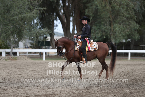 DAHA_FALL19SATPM_5202