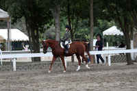DAHA_FALL19SATPM_5221