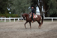 DAHA_FALL19SATPM_5203