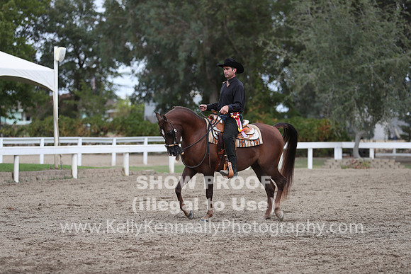 DAHA_FALL19SATPM_5204