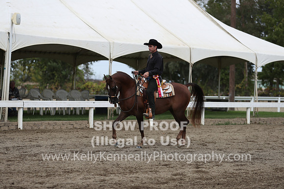 DAHA_FALL19SATPM_5206