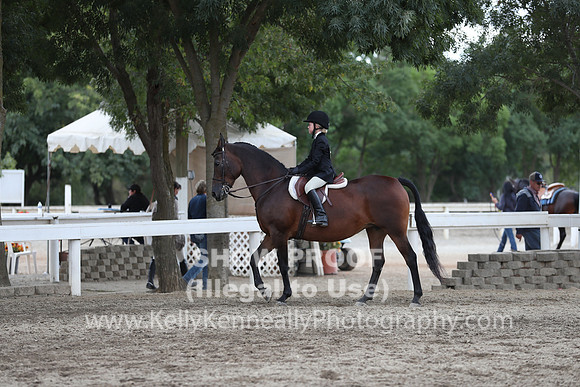 DAHA_FALL19SATPM_5223