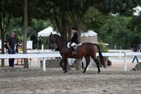 DAHA_FALL19SATPM_5224