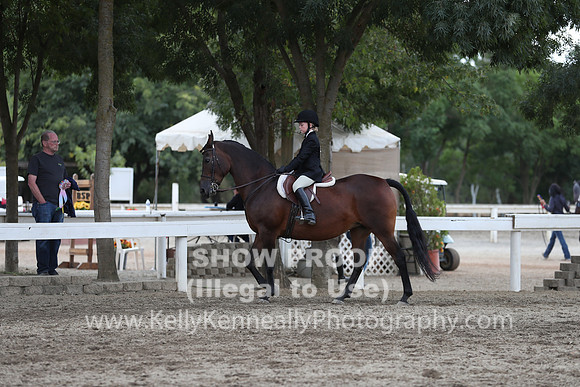 DAHA_FALL19SATPM_5224