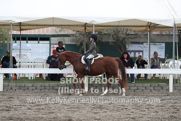 DAHA_FALL19SATPM_5225