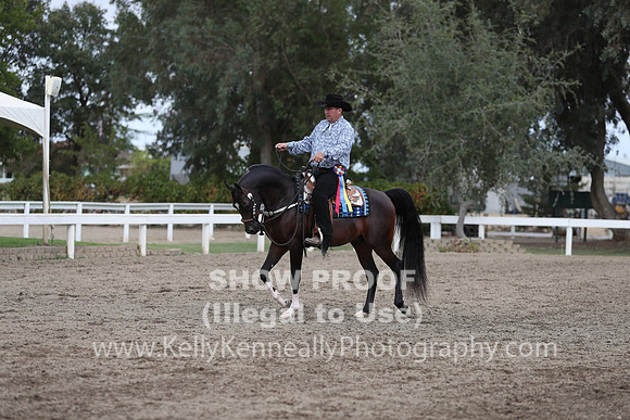 DAHA_FALL19SATPM_5208