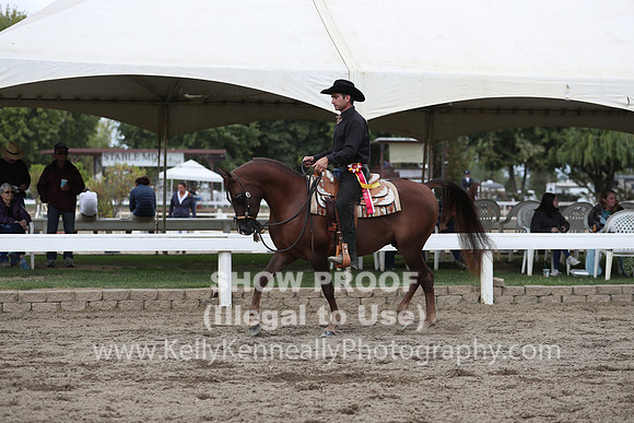 DAHA_FALL19SATPM_5209