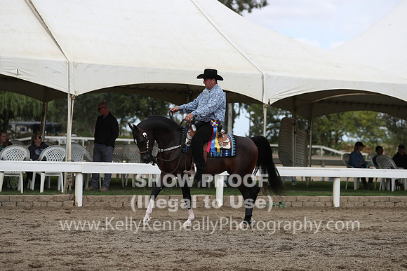 DAHA_FALL19SATPM_5213