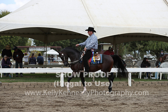 DAHA_FALL19SATPM_5215