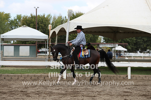 DAHA_FALL19SATPM_5216
