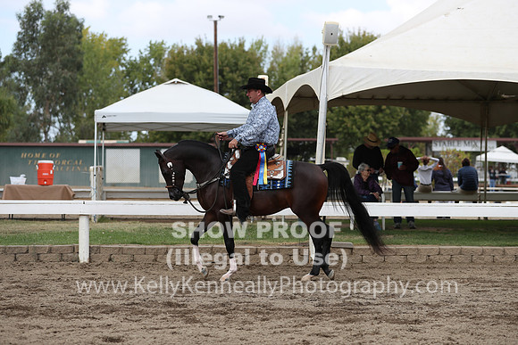 DAHA_FALL19SATPM_5217