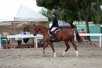 DAHA_FALL19SATPM_5235