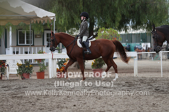 DAHA_FALL19SATPM_5240
