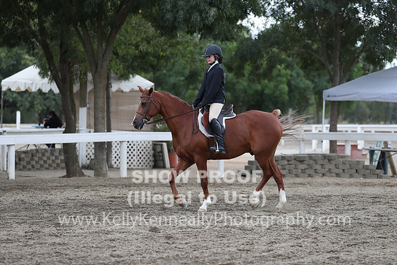 DAHA_FALL19SATPM_5241