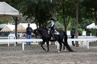 DAHA_FALL19SATPM_5259
