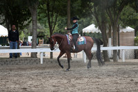 DAHA_FALL19SATPM_5291