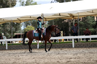 DAHA_FALL19SATPM_5301