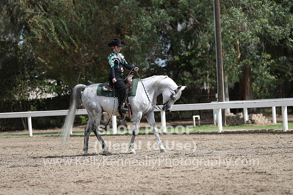DAHA_FALL19SATPM_5302