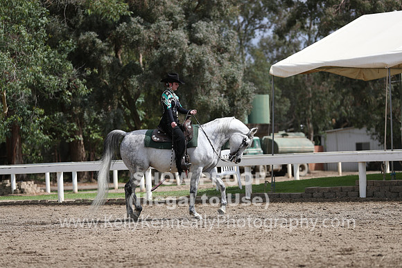 DAHA_FALL19SATPM_5304
