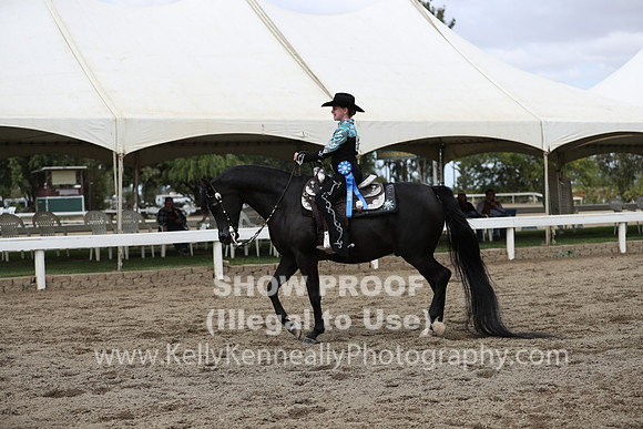 DAHA_FALL19SATPM_5282