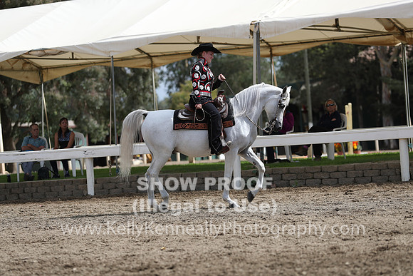 DAHA_FALL19SATPM_5313