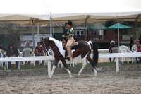 DAHA_FALL19SATPM_5326