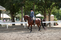 DAHA_FALL19SATPM_5348