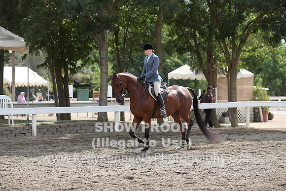 DAHA_FALL19SATPM_5348