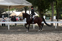 DAHA_FALL19SATPM_5353