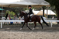 DAHA_FALL19SATPM_5354