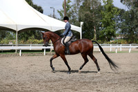 DAHA_FALL19SATPM_5355