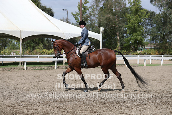 DAHA_FALL19SATPM_5355