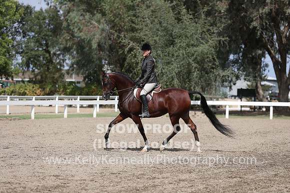 DAHA_FALL19SATPM_5357