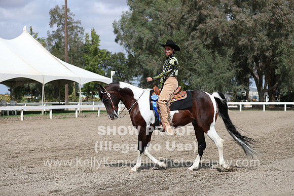 DAHA_FALL19SATPM_5341