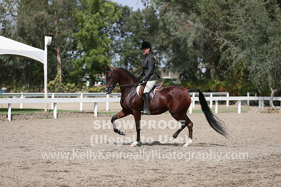 DAHA_FALL19SATPM_5358