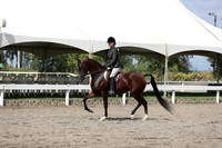 DAHA_FALL19SATPM_5360