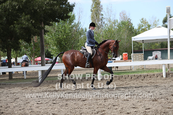DAHA_FALL19SATPM_5365