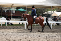 DAHA_FALL19SATPM_5374