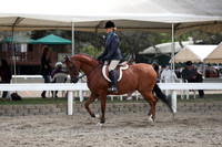 DAHA_FALL19SATPM_5384