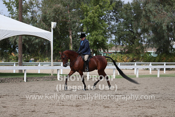 DAHA_FALL19SATPM_5386