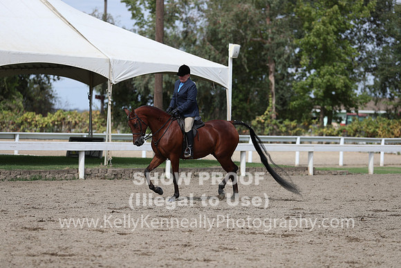 DAHA_FALL19SATPM_5387