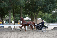 DAHA_FALL19SATPM_5406