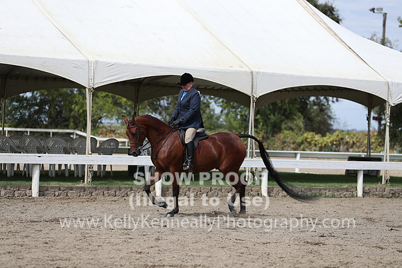 DAHA_FALL19SATPM_5388