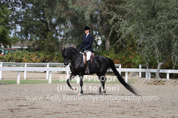 DAHA_FALL19SATPM_5390
