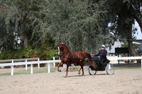 DAHA_FALL19SATPM_5413